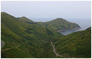 top_img003